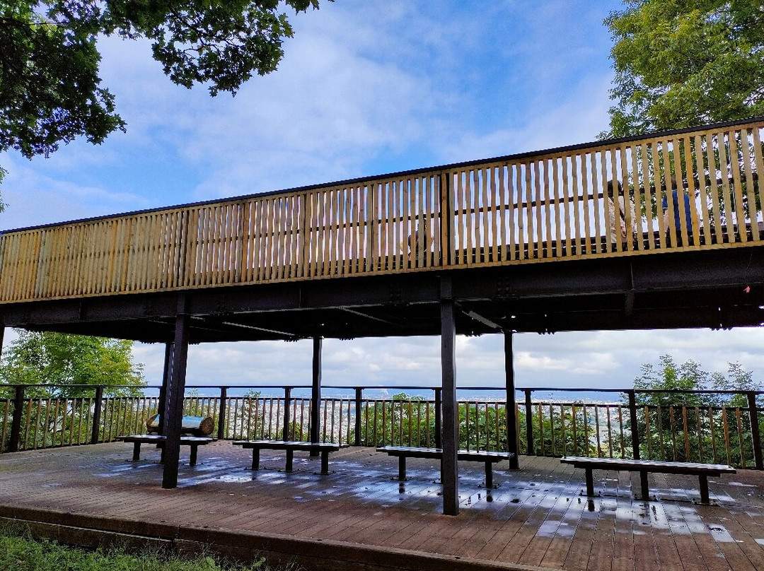 Arashiyama Observatory-鹰栖町必去景点