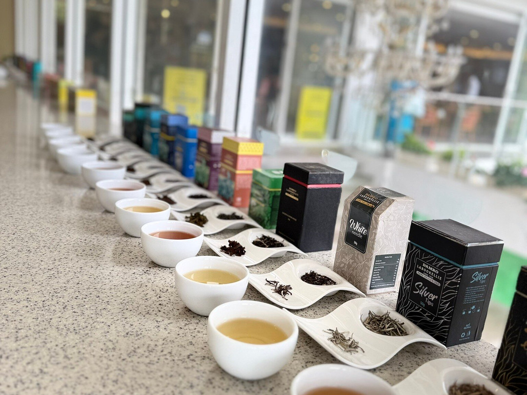 Nuwaraeliya Luxury Tours-奴娃拉伊利雅必去景点