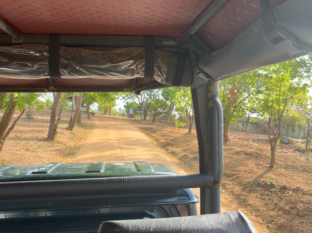 Kavisha Safari Service Udawalawa-乌达瓦拉瓦必去景点