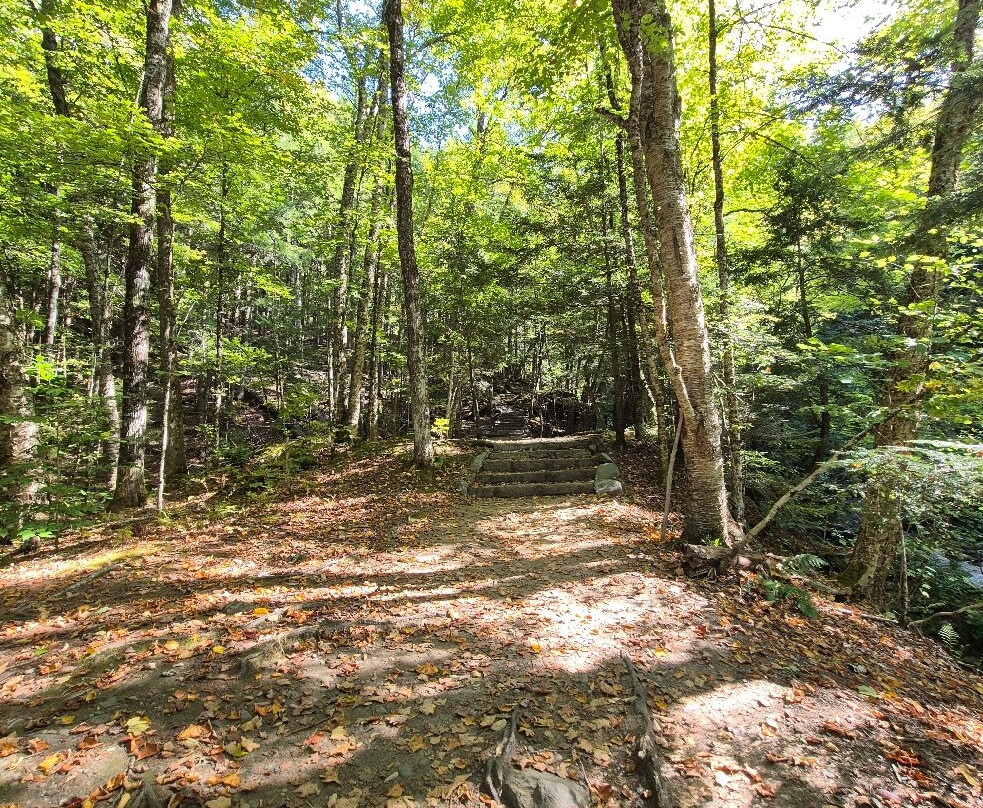 Moss Glen Falls-斯托必去景点