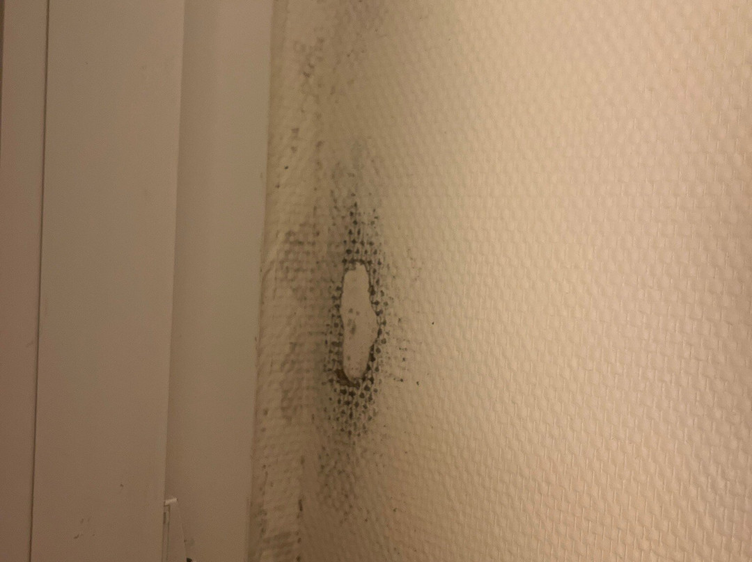 Logis L'Oree du Bois主图