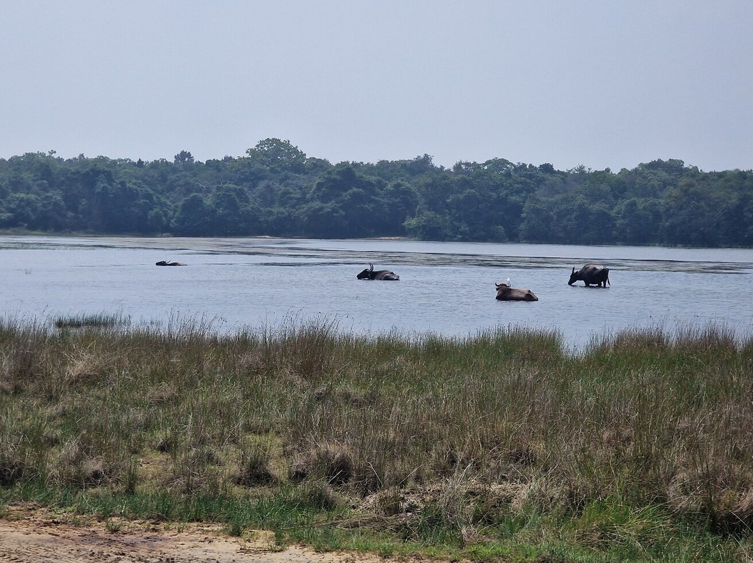 Megha Tour Sri Lanka-Dodampahala South必去景点
