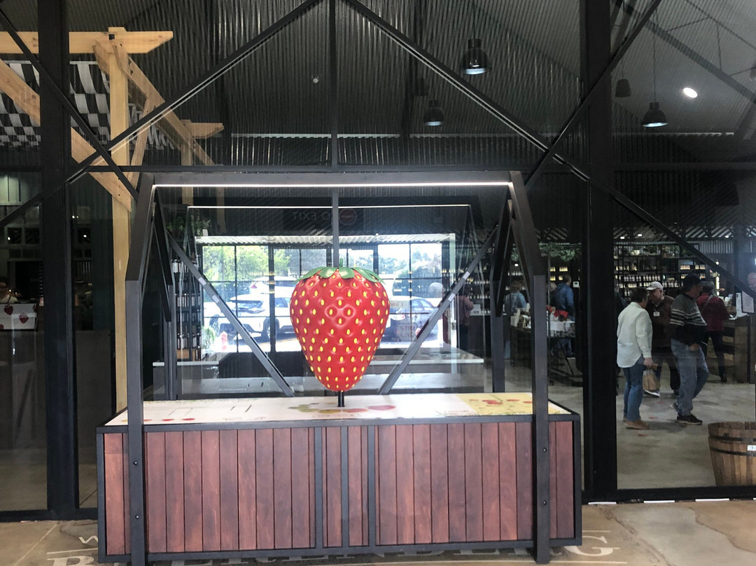 Beerenberg Farm-汉道夫德国村必去景点