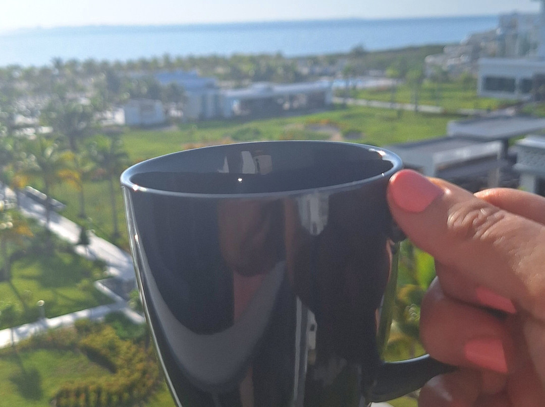 Hotel Riu Latino主图