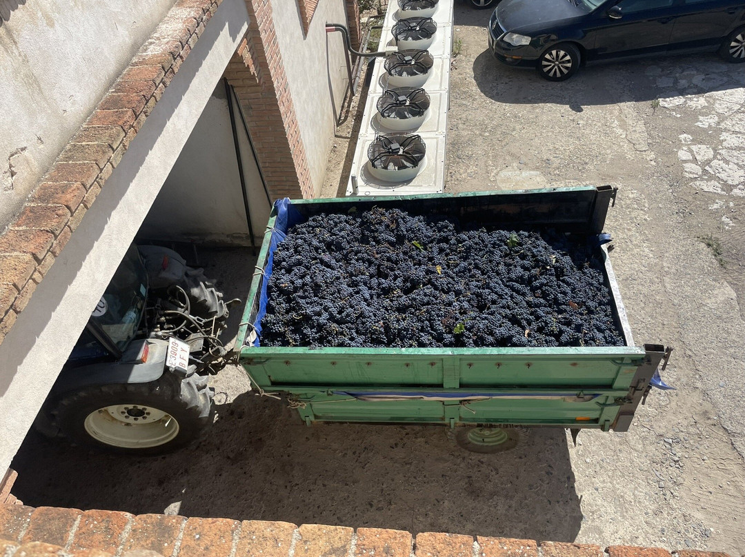 Cooperativa Falset Marçà-Falset必去景点