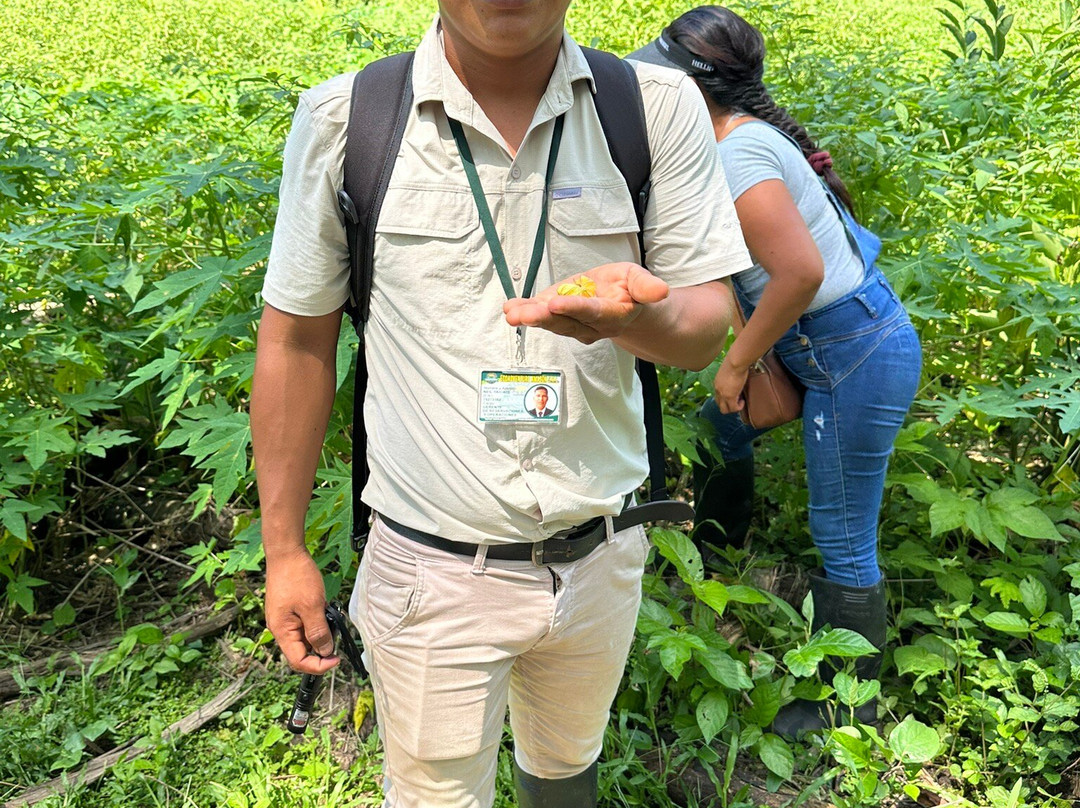 Ecoadventure Amazon-伊基托斯必去景点