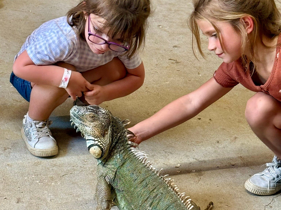 Ocoee Riverside Farm-Benton必去景点
