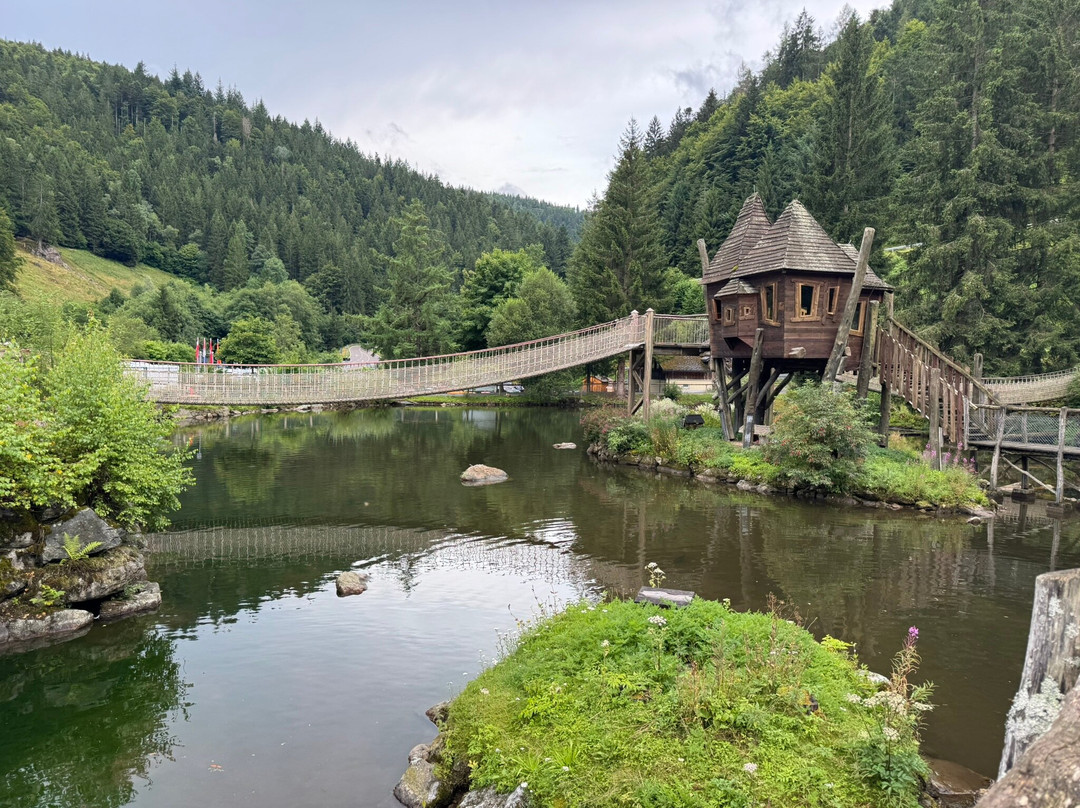 Steinwasen Park-Oberried必去景点