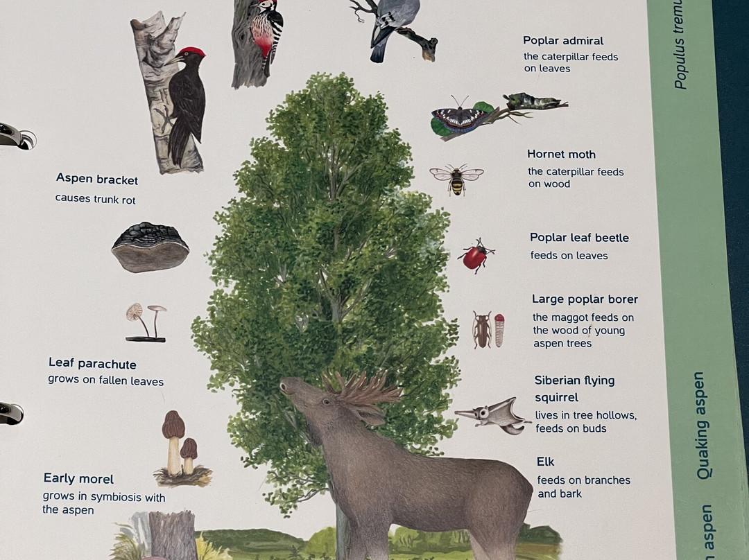 Sagadi Forest Museum-Sagadi必去景点