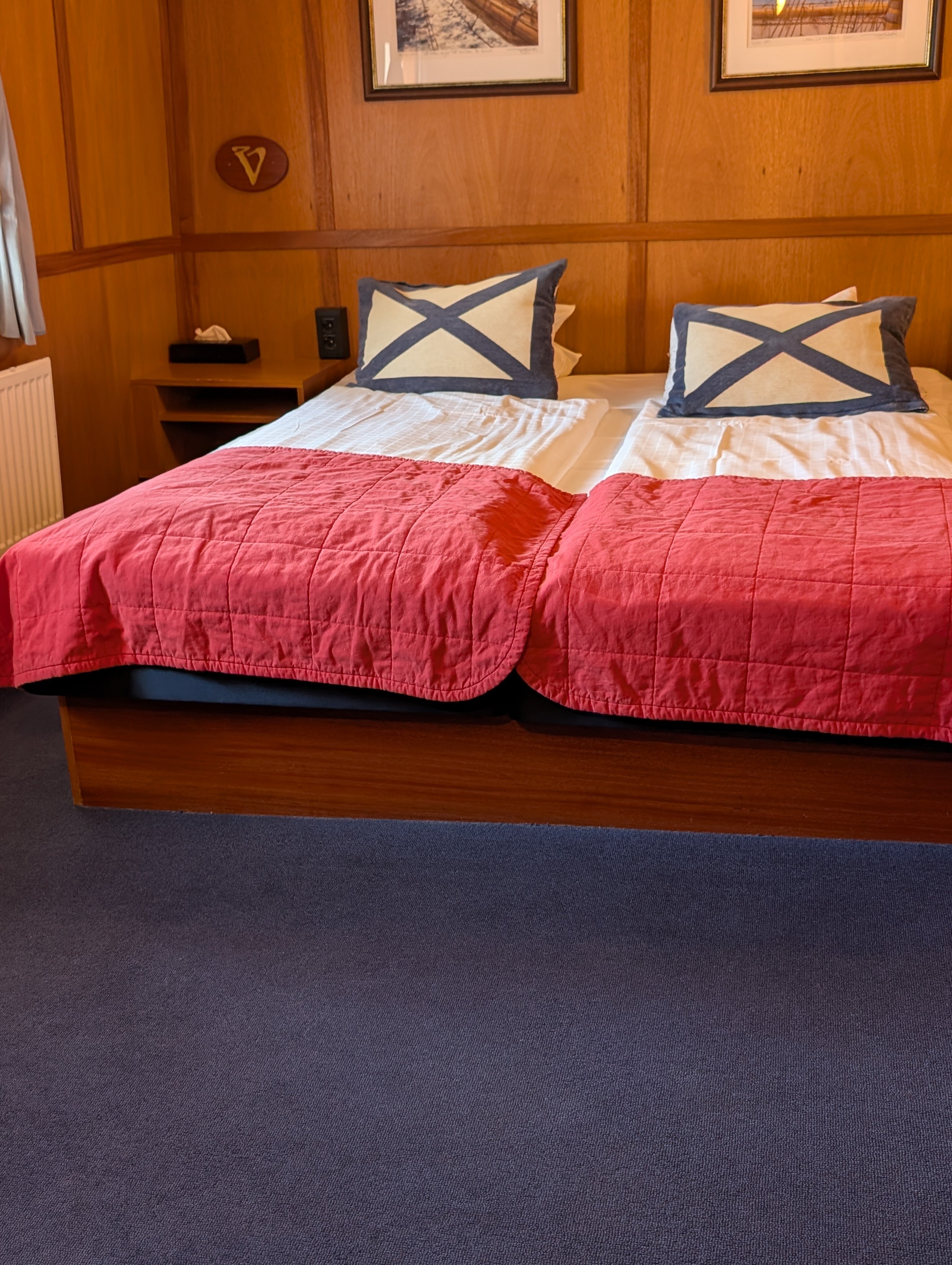 巴肯维京酒店-官方