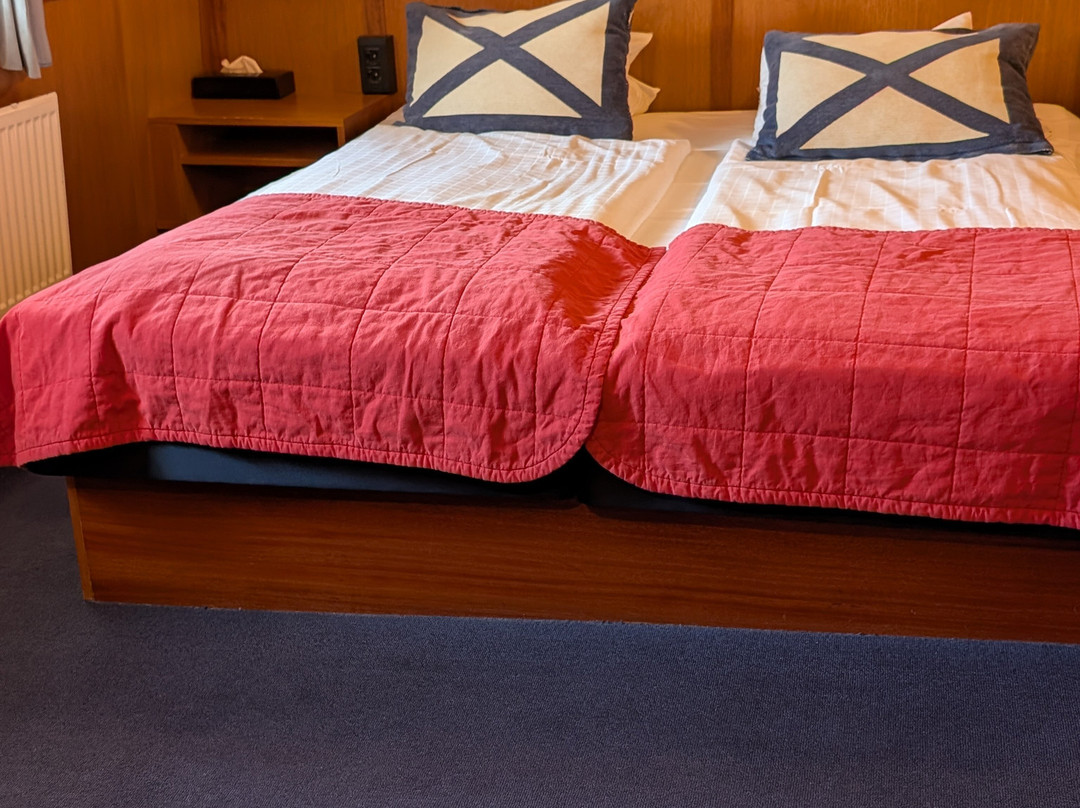 巴肯维京酒店主图