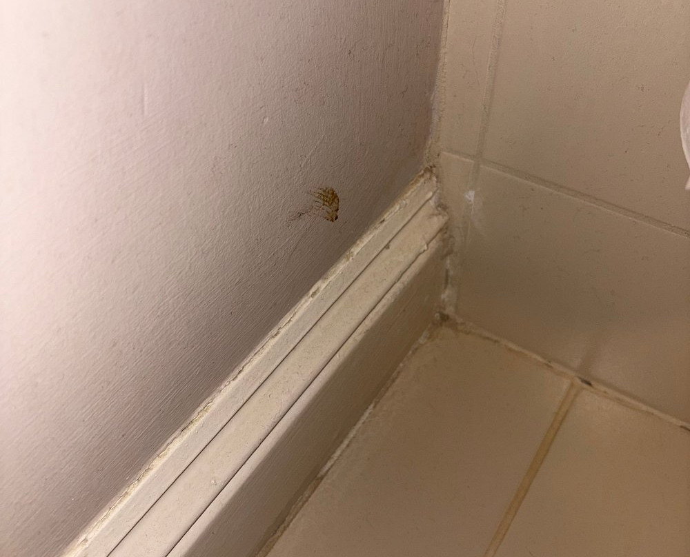 Spa at Mercure Warwickshire Walton Hall Hotel-Wellesbourne必去景点