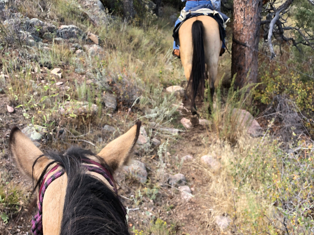 Tattered Saddle Stables At Gordon Creek-科林斯堡必去景点