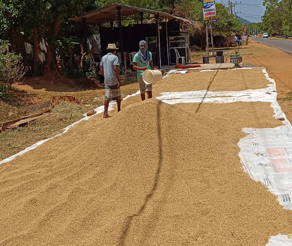 Aaryan Cars-科伦坡必去景点