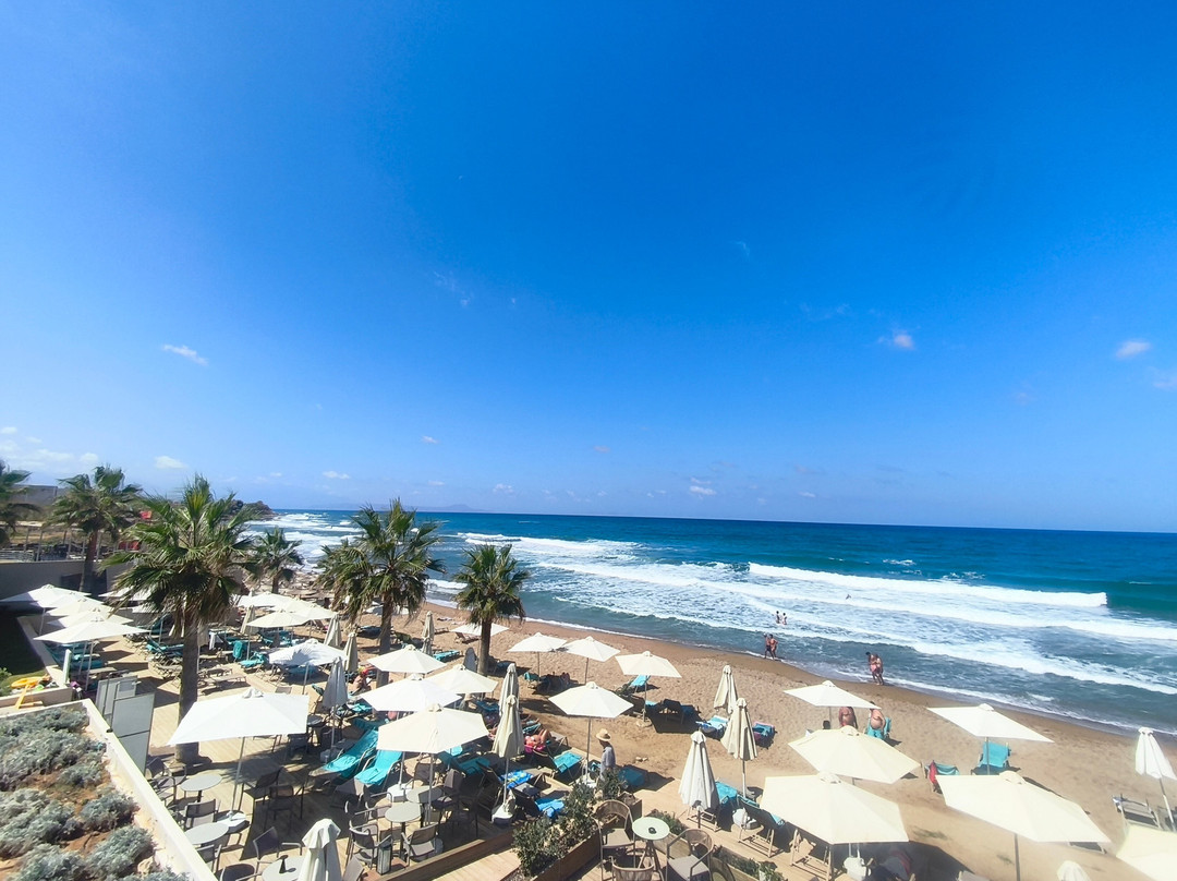 White Olive Elite Rethymno主图