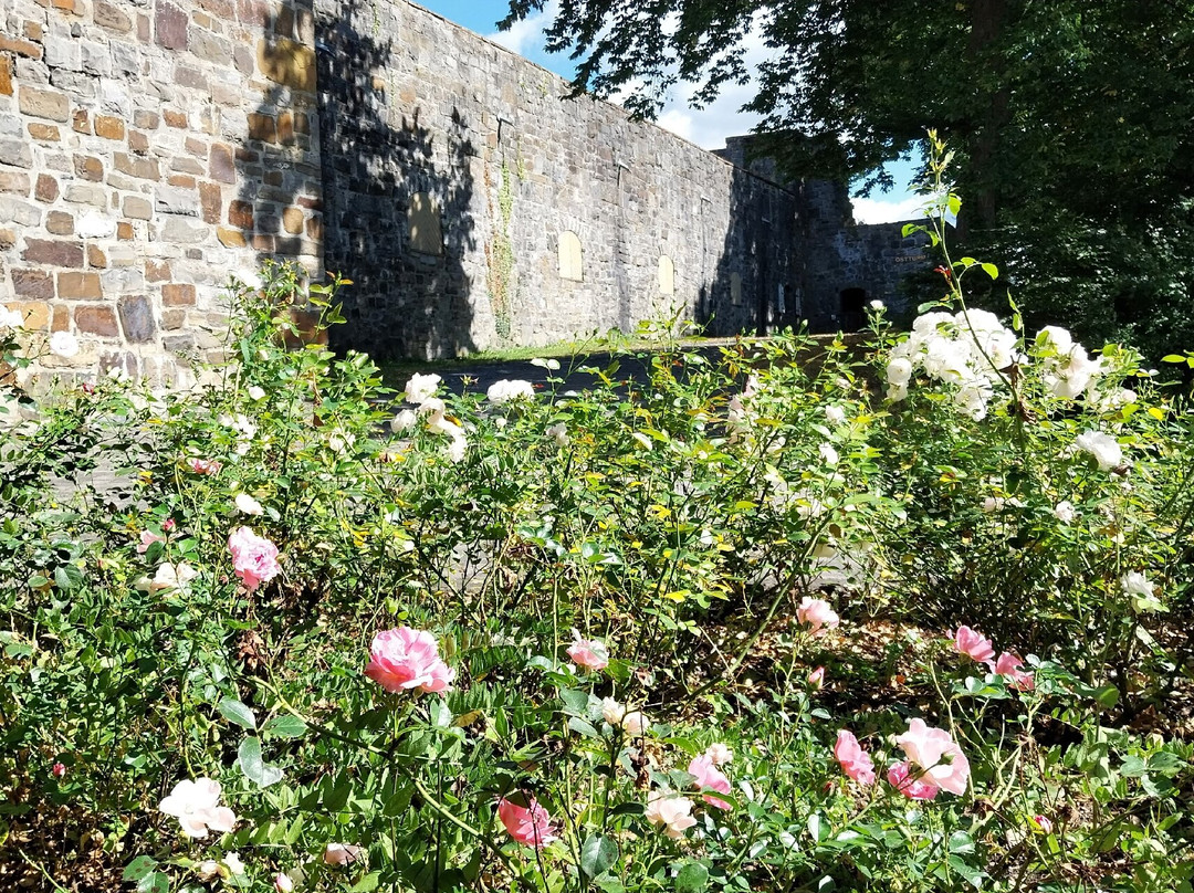 Schlossruine Arnsberg-Arnsberg必去景点