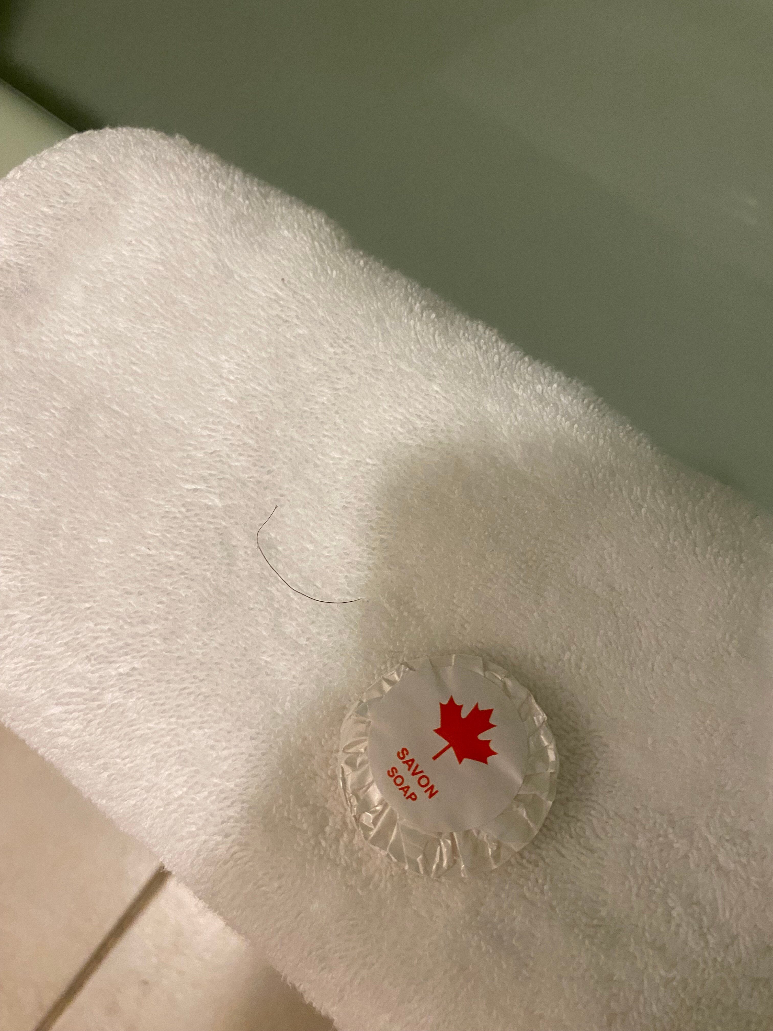 Hotel & Motel La Marquise-官方