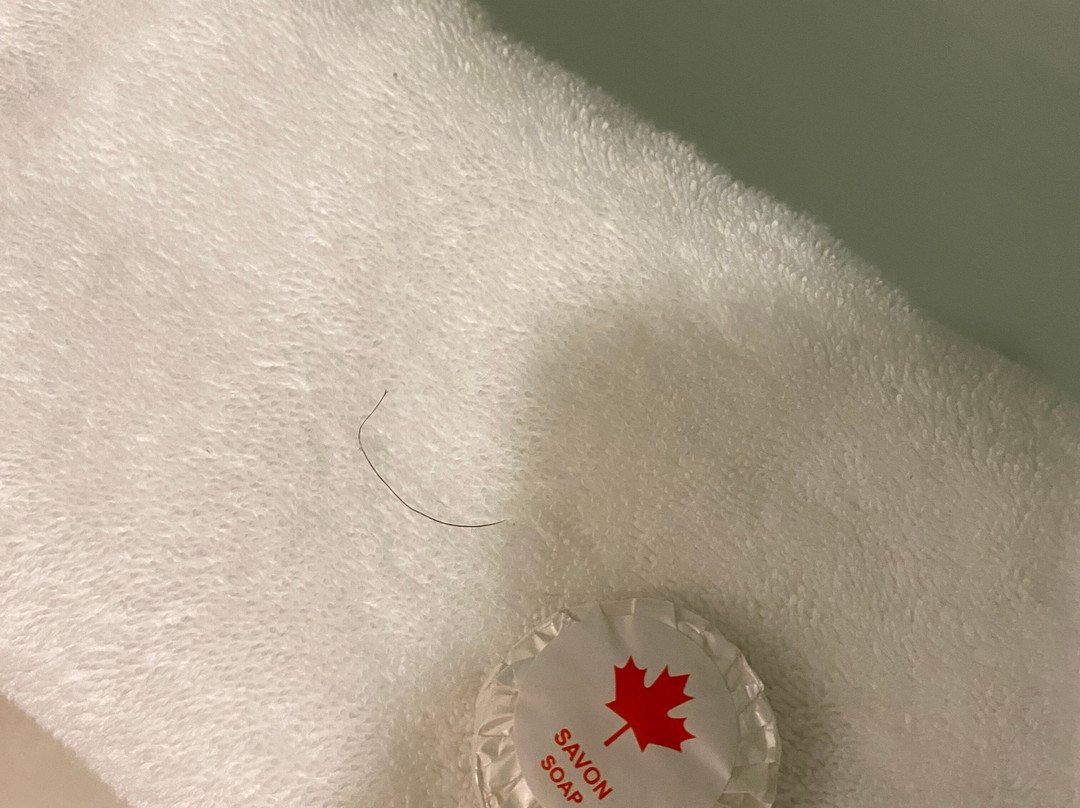 Hotel & Motel La Marquise主图