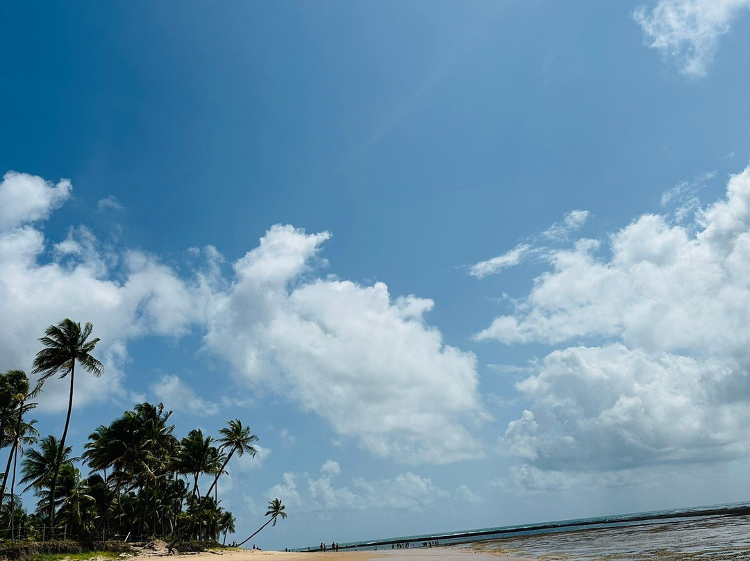 Praia Taipu de Fora-Marau必去景点
