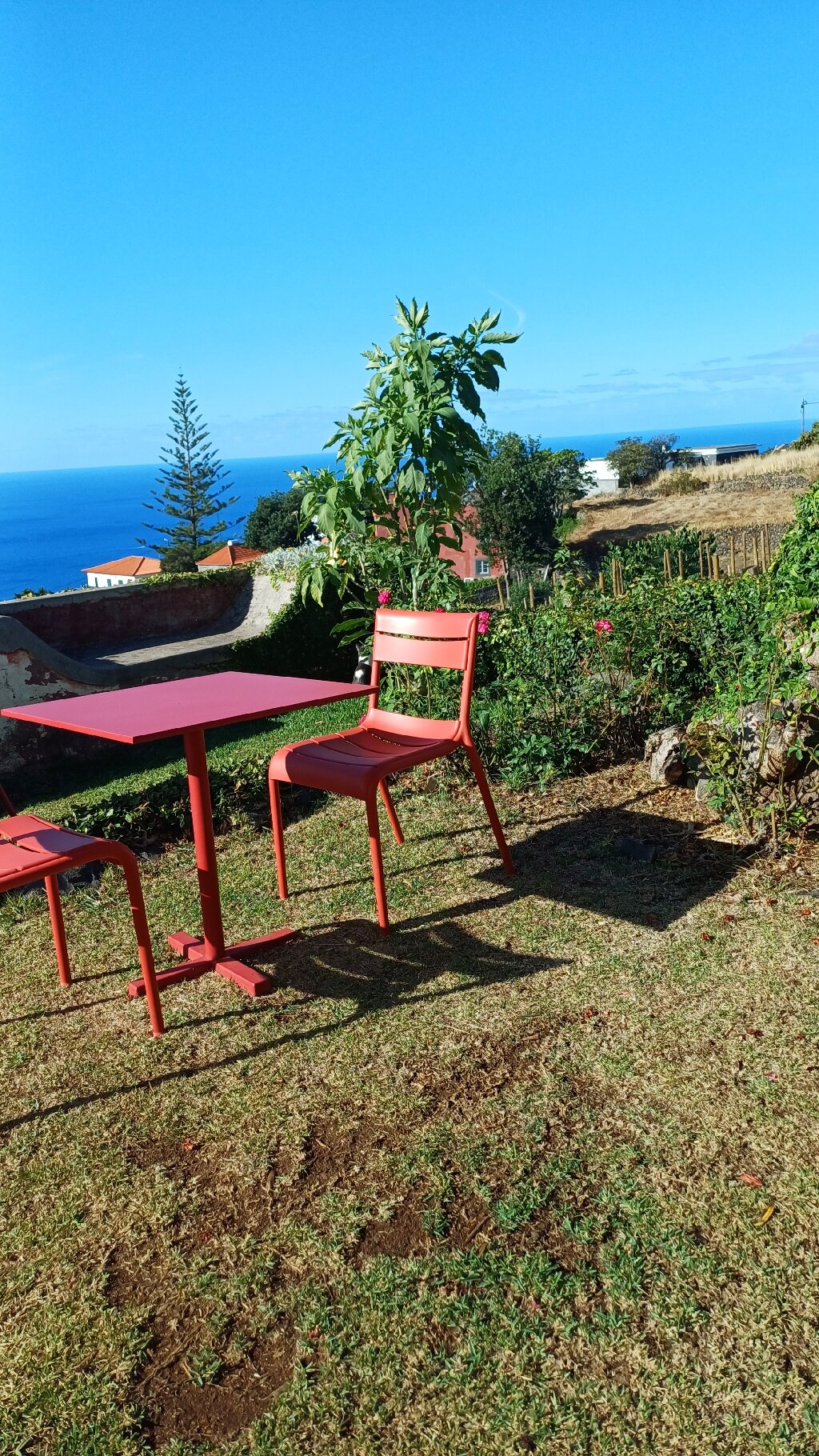 Quinta Das Vinhas-官方