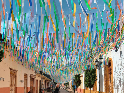 Viaje Por Chiapas-图斯特拉古铁雷斯必去景点