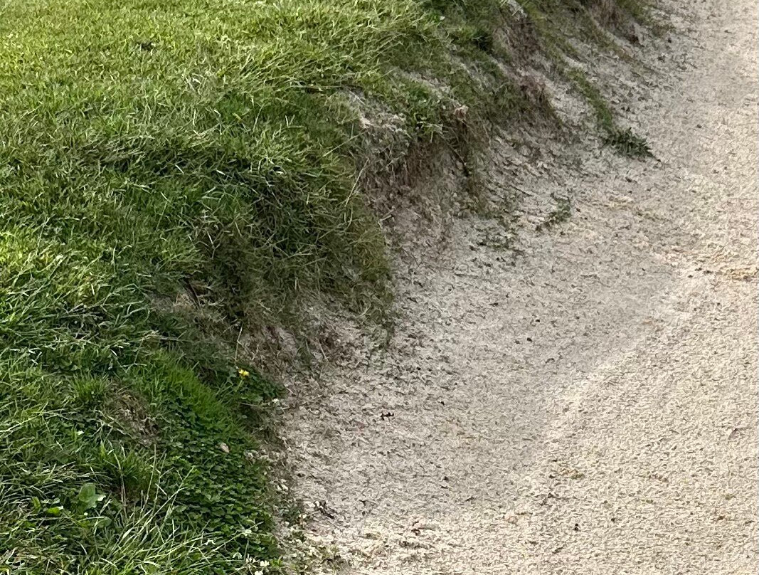 Chatuge Shores Golf Course-Hayesville必去景点