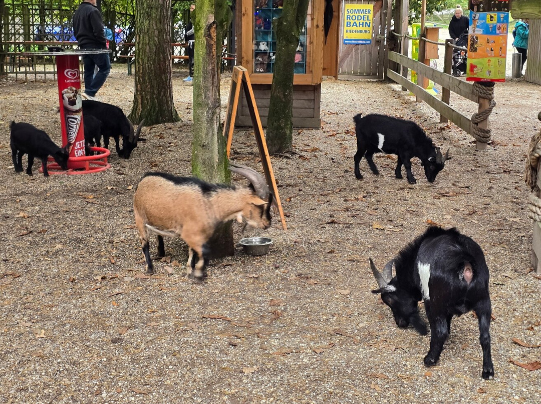 Vogel- und Tierpark Abensberg-阿本斯贝格必去景点