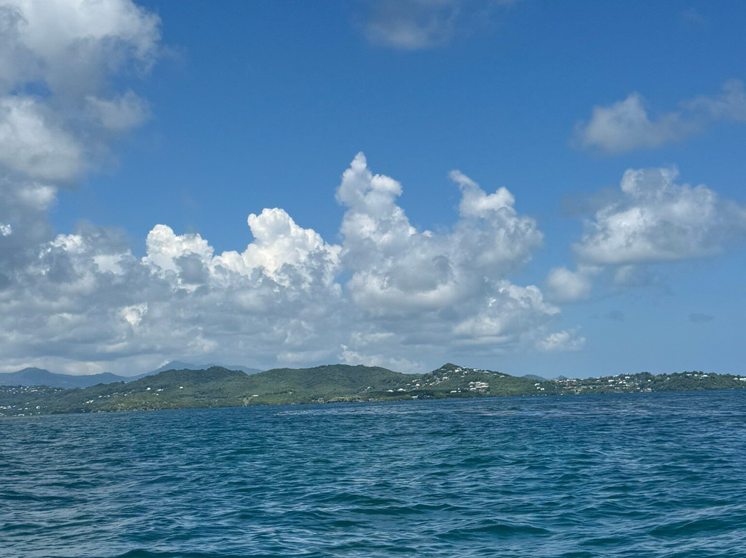 Matt'Excursions Nautiques-Le Francois必去景点