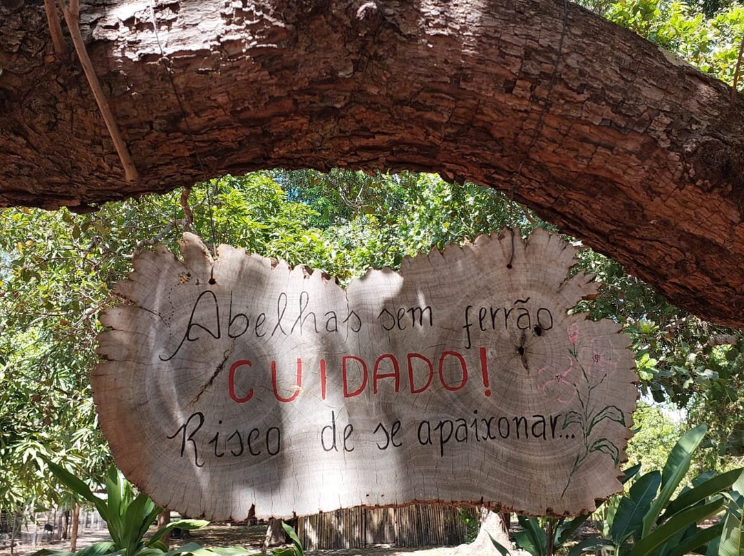 Nazareth Eco Hotel主图