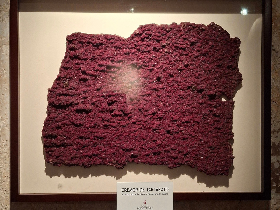 Vinícola Salvattore-Flores Da Cunha必去景点