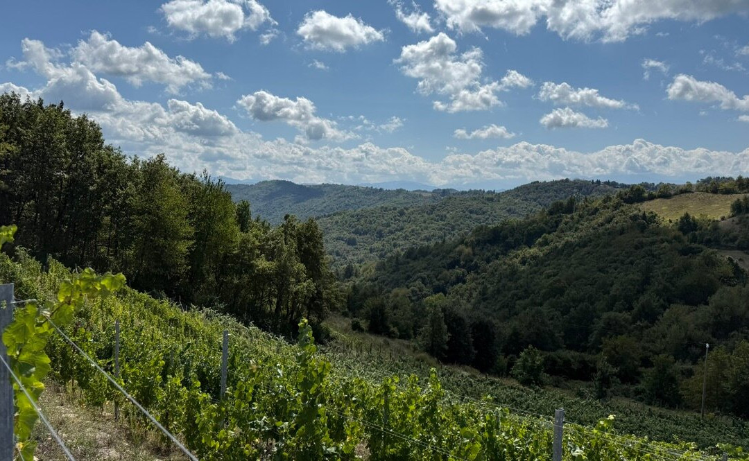 Podere Martina-Murazzano必去景点