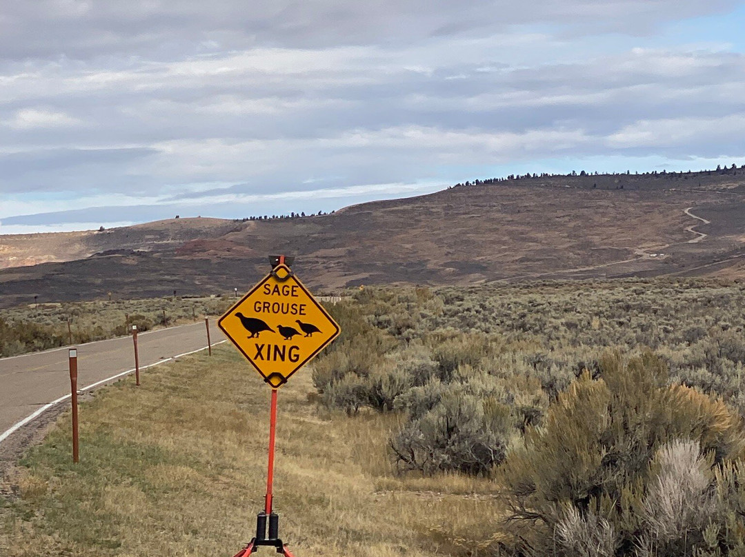 Fossil Butte National Monument-Kemmerer必去景点