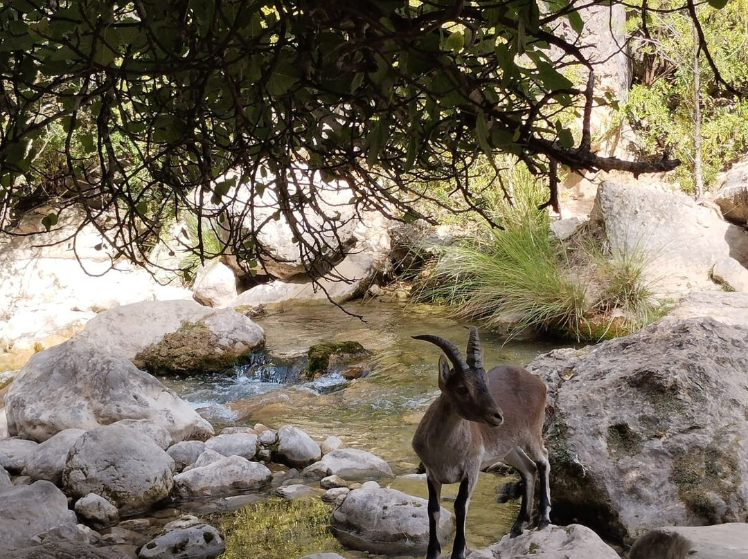 Natural Park Sierras de Cazorla-卡索拉必去景点