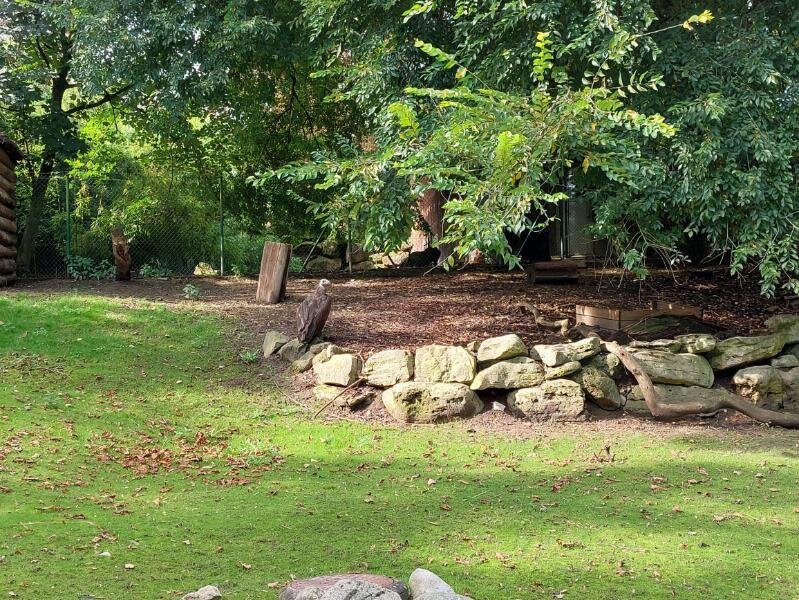 Parc Zoologique & Botanique de Mulhouse-米卢斯必去景点