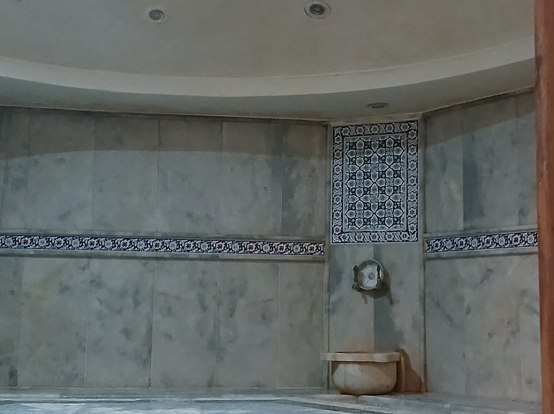 Historic Bardakci Hammam-博德鲁姆必去景点