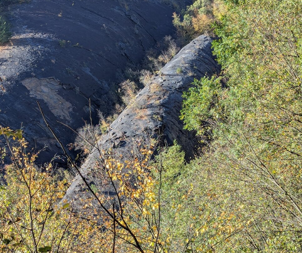 Anthracite Outdoor Adventure Area-Coal Township必去景点