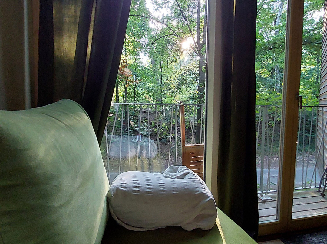 Bio-Hotel Kenners Landlust主图