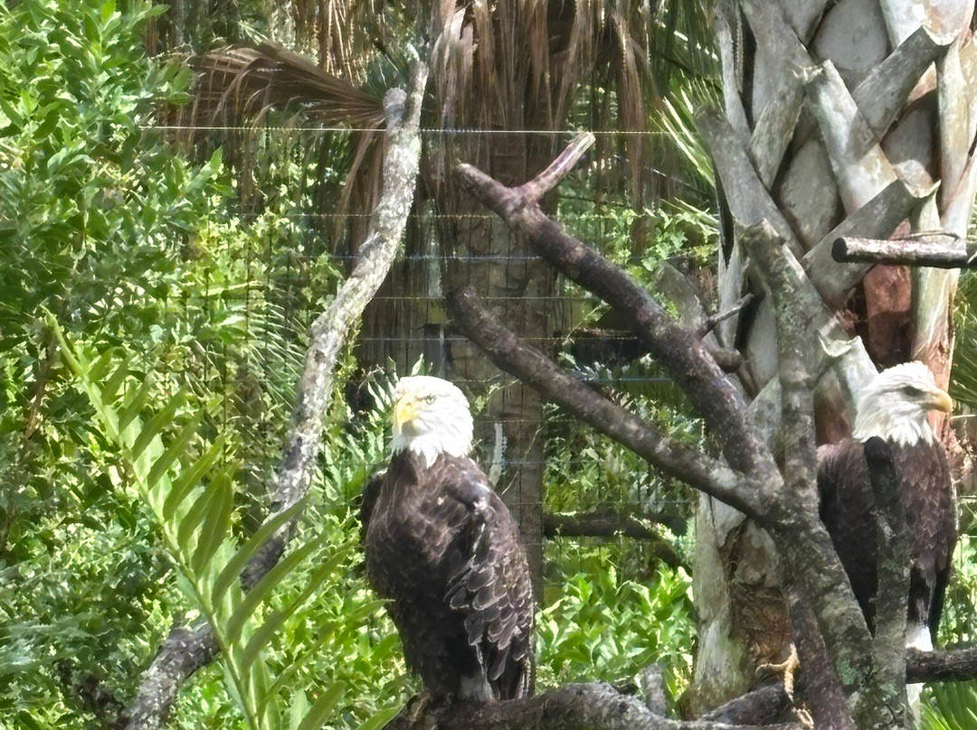 Brevard Zoo-墨尔本必去景点