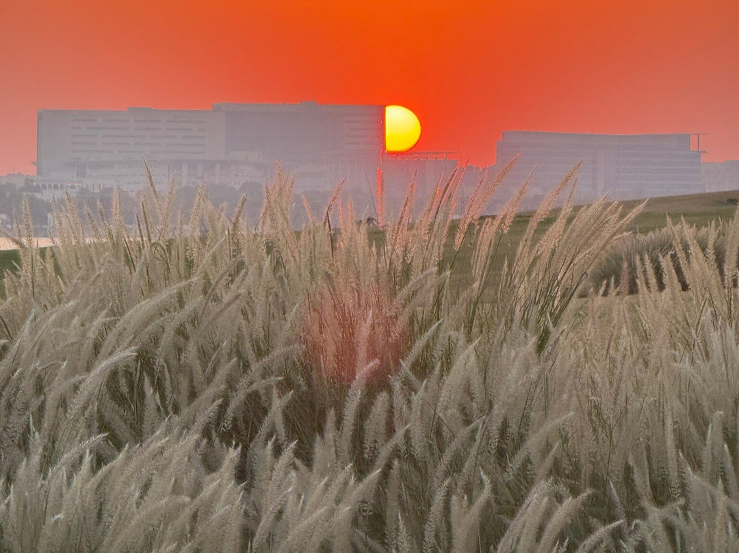 MIA Park-多哈必去景点