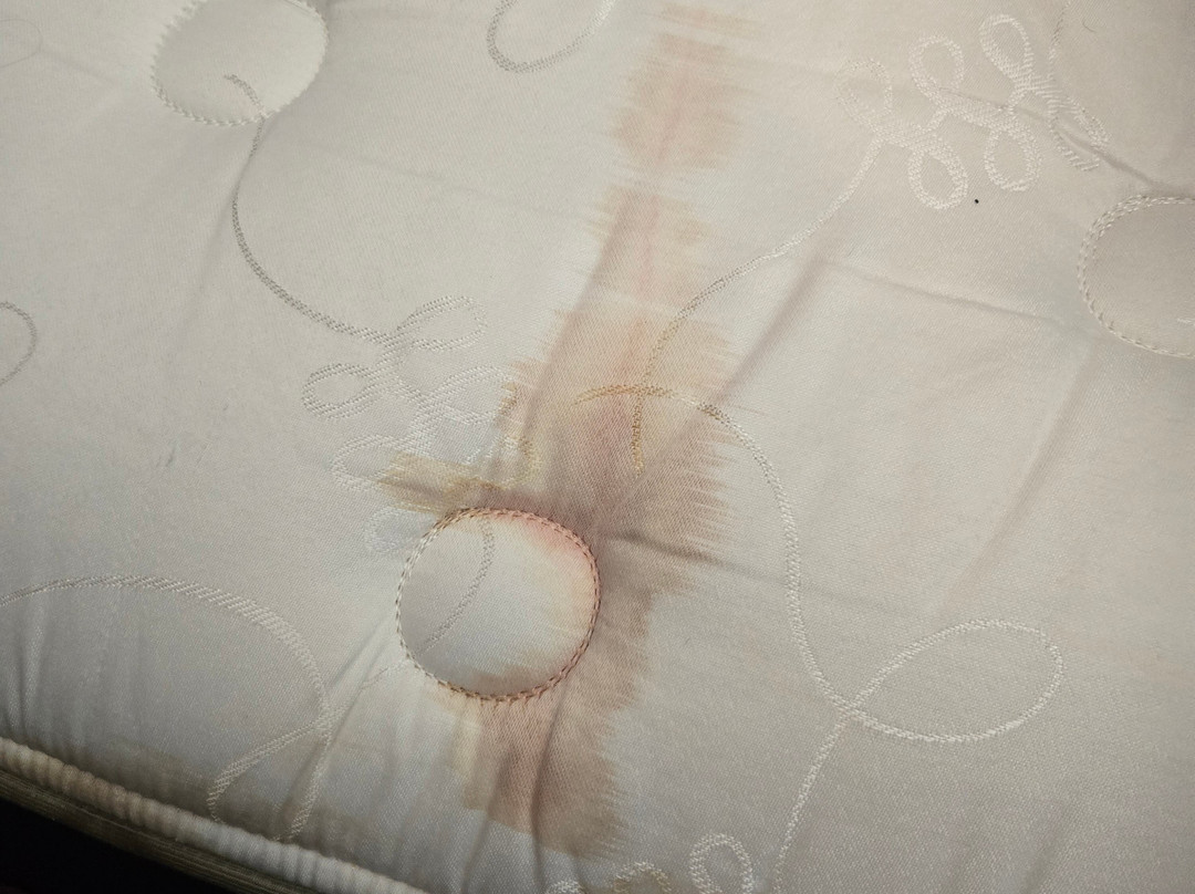 Comfort Suites Grand Rapids North主图