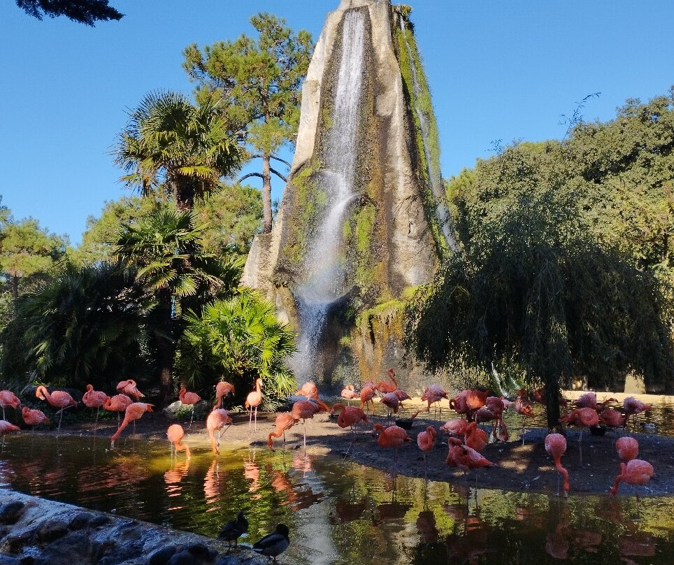 Zoo de La Palmyre-La Palmyre-Les Mathes必去景点