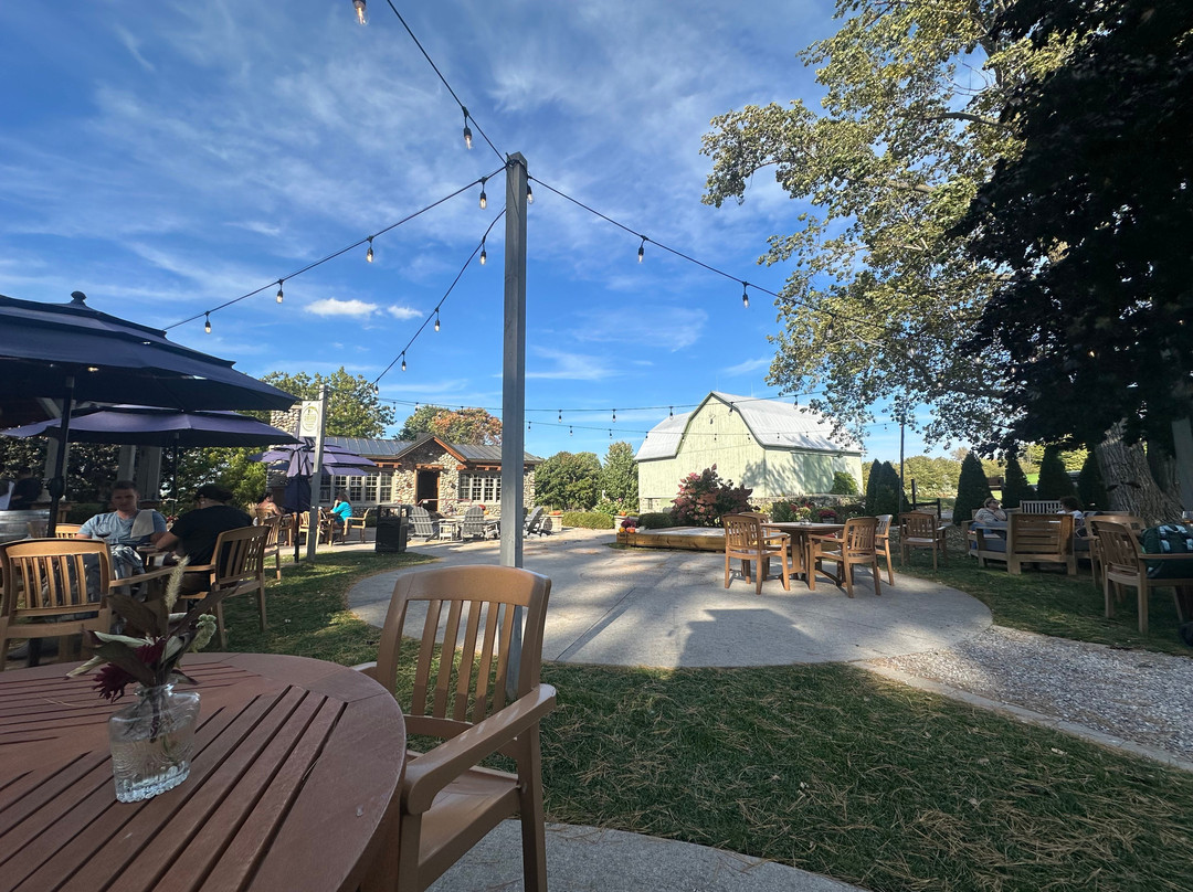 Shady Lane Cellars-Suttons Bay必去景点