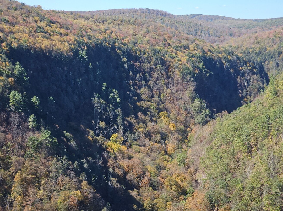Leonard Harrison State Park-Wellsboro必去景点
