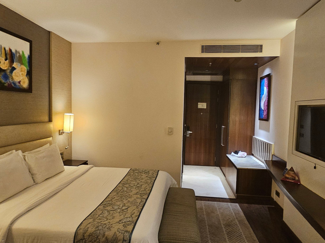 Seyfert Sarovar Premiere主图