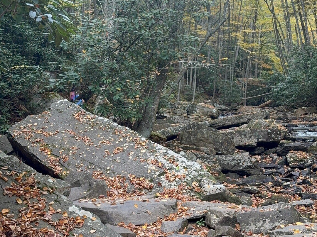 Cascades National Recreation Trail-Pembroke必去景点