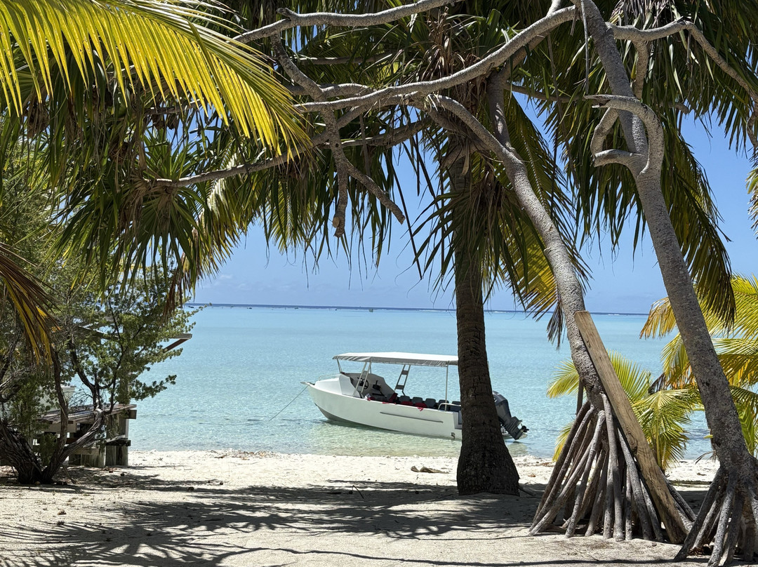 Kia Orana Cruises-Amuri必去景点