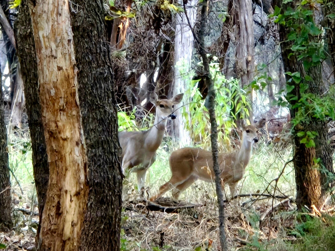 Abilene State Park-Tuscola必去景点