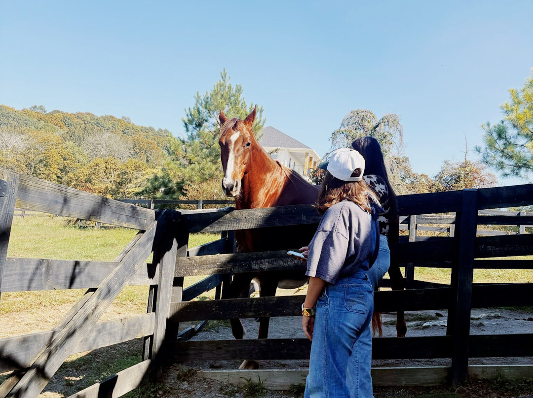 Coleman Valley Alpaca Farm-富兰克林必去景点