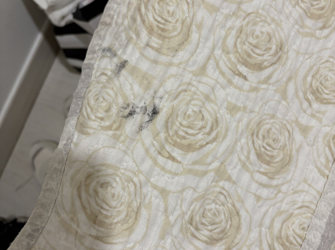 B&B Il Gattopardo Firenze主图