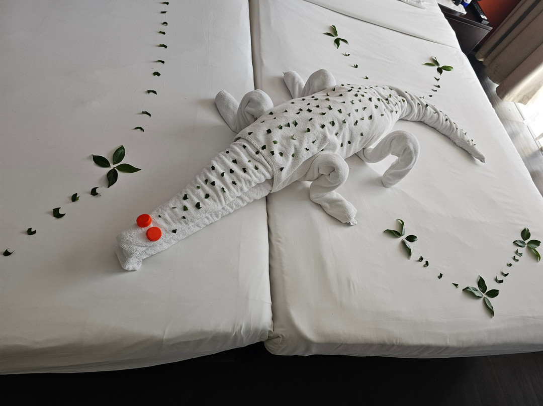 西特拉斯瓦斯卡杜瓦酒店主图